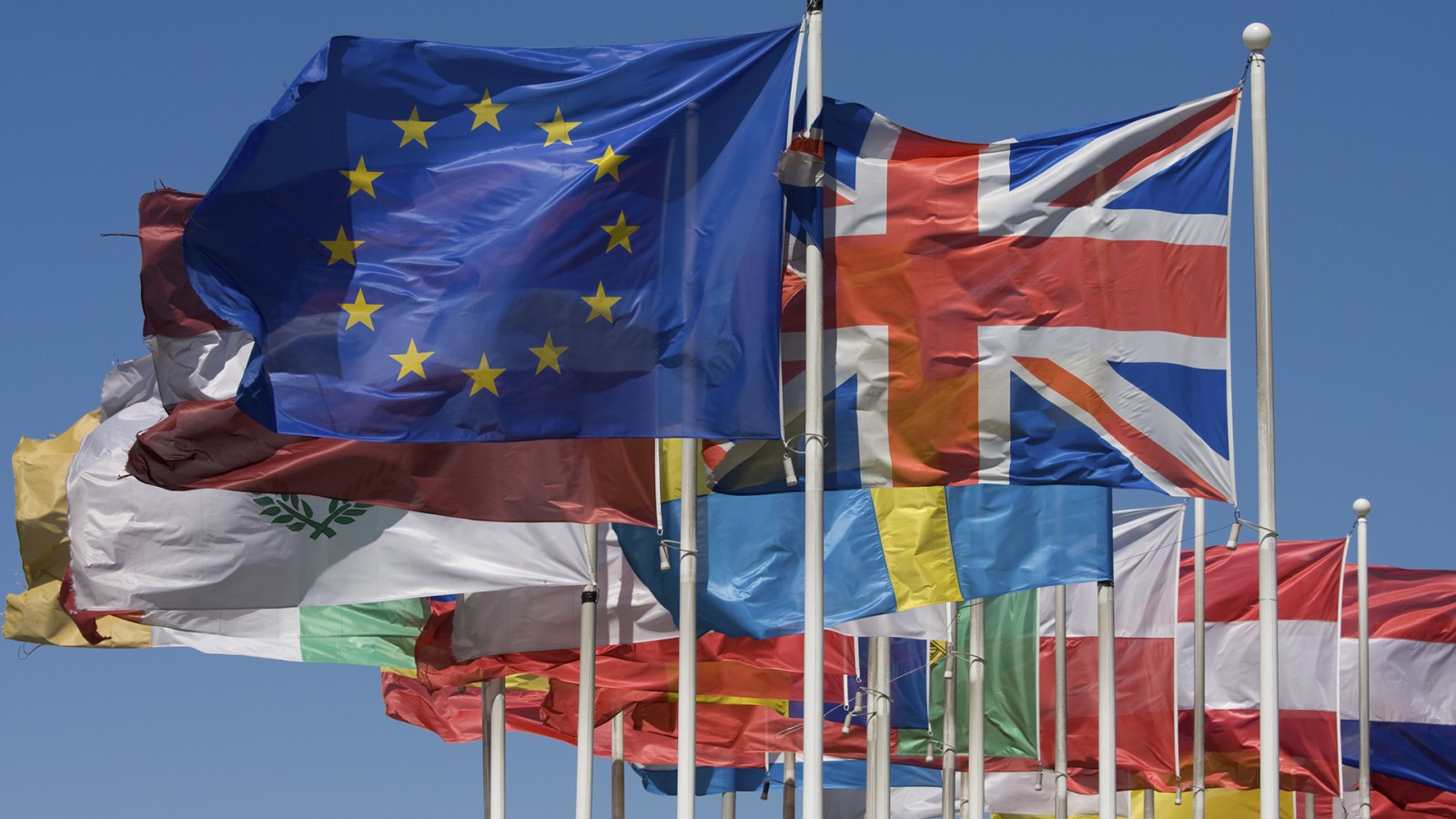 EU and national flags